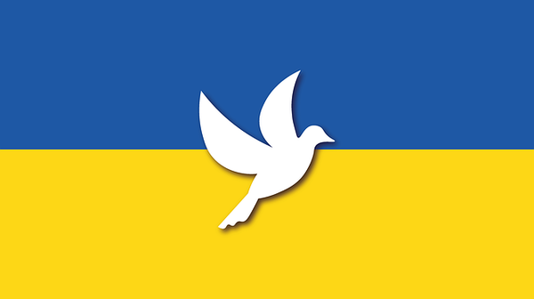 Ukraine Flagge mit einer Friedenstaube